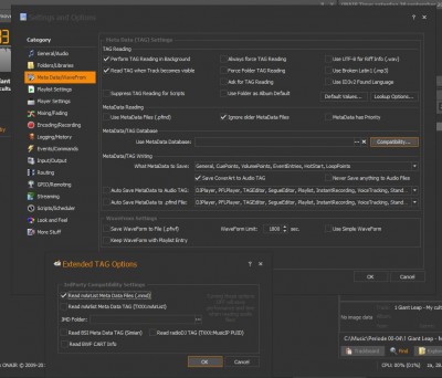 Metadata settings